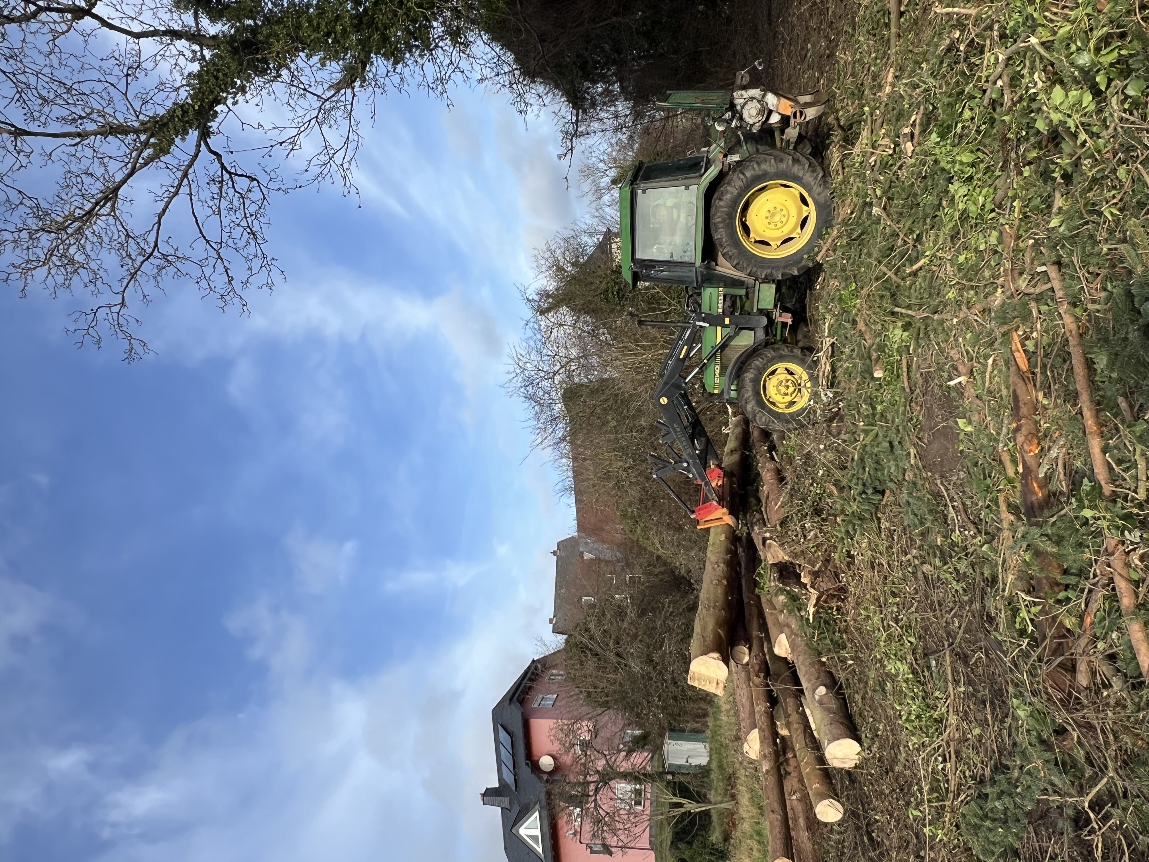 Traktor mit Greifer beim Holzabtransport